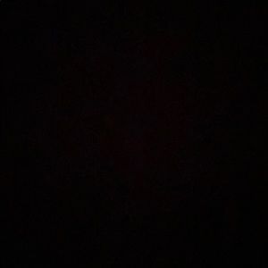 Meet your Posher, Rodrick